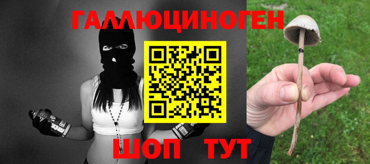 Псилоцибиновые грибы ЛСД  купить наркоту  Глазов  Вход с VPN 